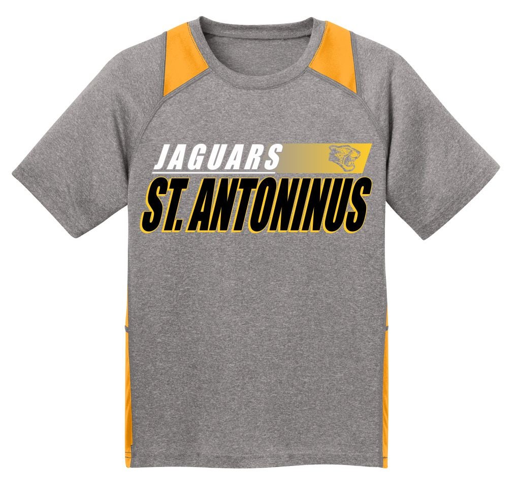 Jaguars dri fit online
