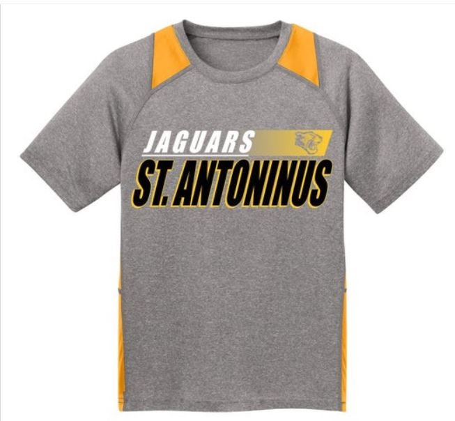 Gray Dri Fit Jaguar T Shirt St. Antoninus PTO Spirit Shop